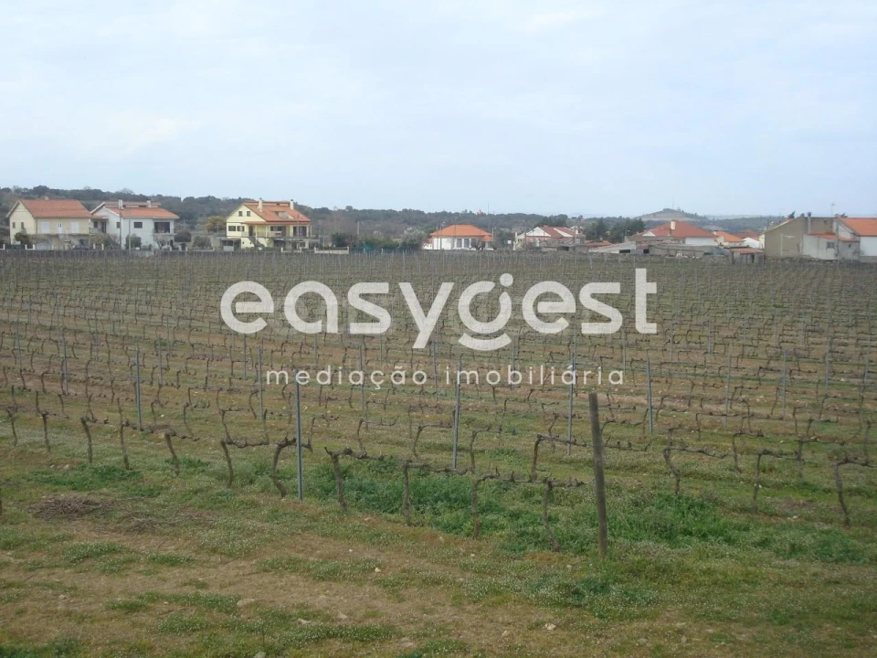 Terreno Agricola ou Rústico para Venda em Touça Foto 30