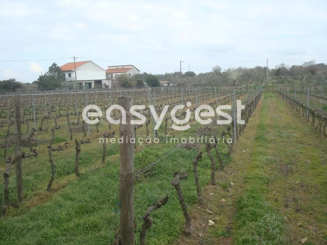 Terreno Agricola ou Rústico para Venda em Touça Foto 4