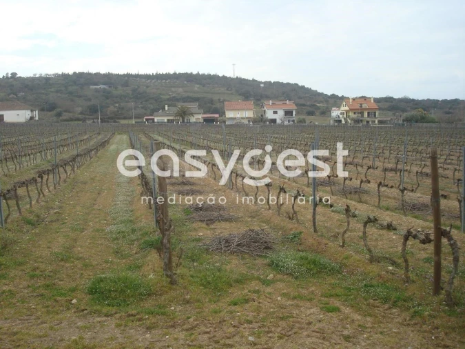 Terreno Agricola ou Rústico para Venda em Touça Foto 7