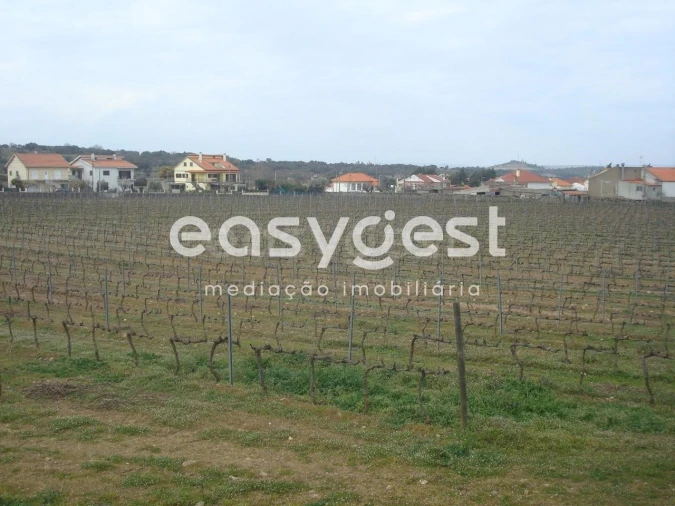 Terreno Agricola ou Rústico para Venda em Touça Foto 14