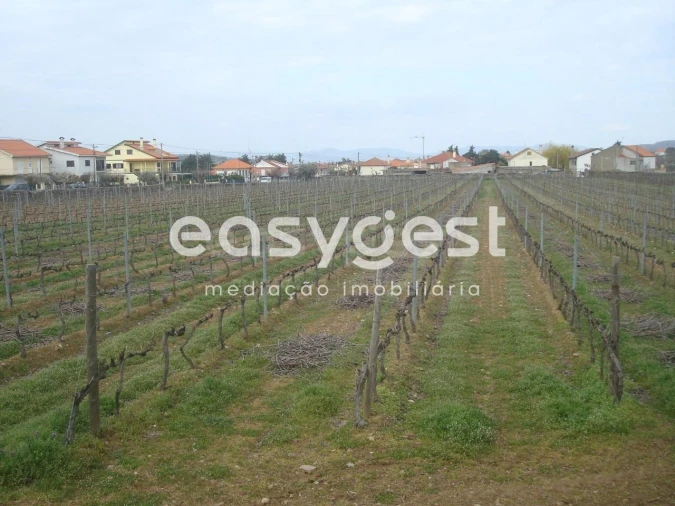 Terreno Agricola ou Rústico para Venda em Touça Foto 18