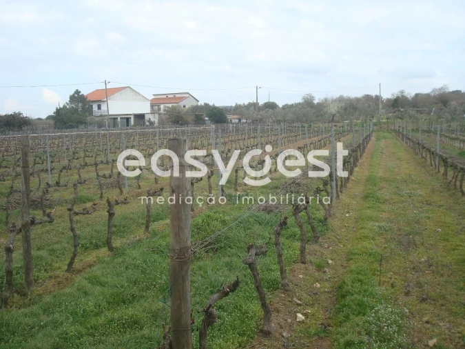 Terreno Agricola ou Rústico para Venda em Touça Foto 19