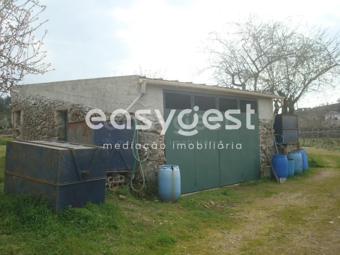 Terreno Agricola ou Rústico para Venda em Touça Foto 23
