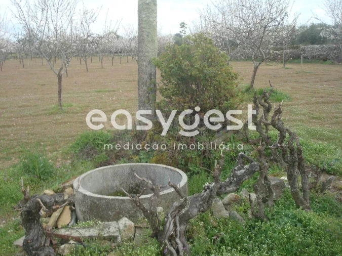 Terreno Agricola ou Rústico para Venda em Touça Foto 27