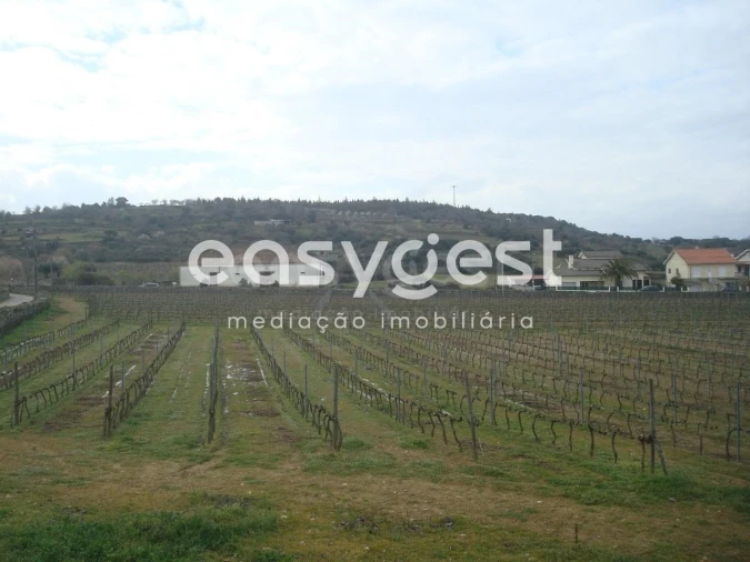Terreno Agricola ou Rústico para Venda em Touça Foto 28