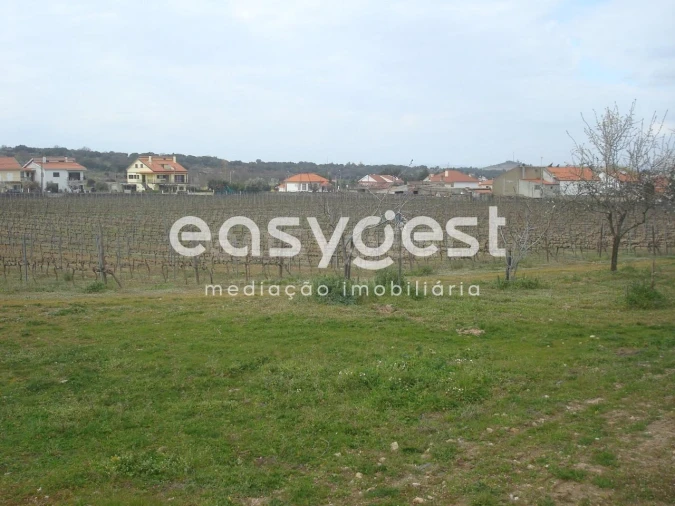 Terreno Agricola ou Rústico para Venda em Touça Foto 29