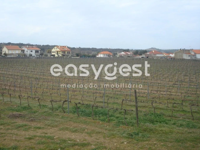 Terreno Agricola ou Rústico para Venda em Touça Foto 30