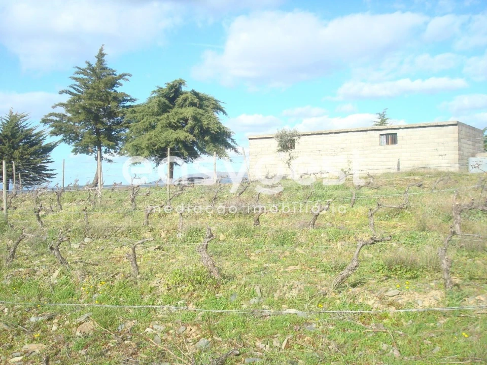 Terreno Agricola ou Rústico para Venda em Castelo Melhor Foto 2