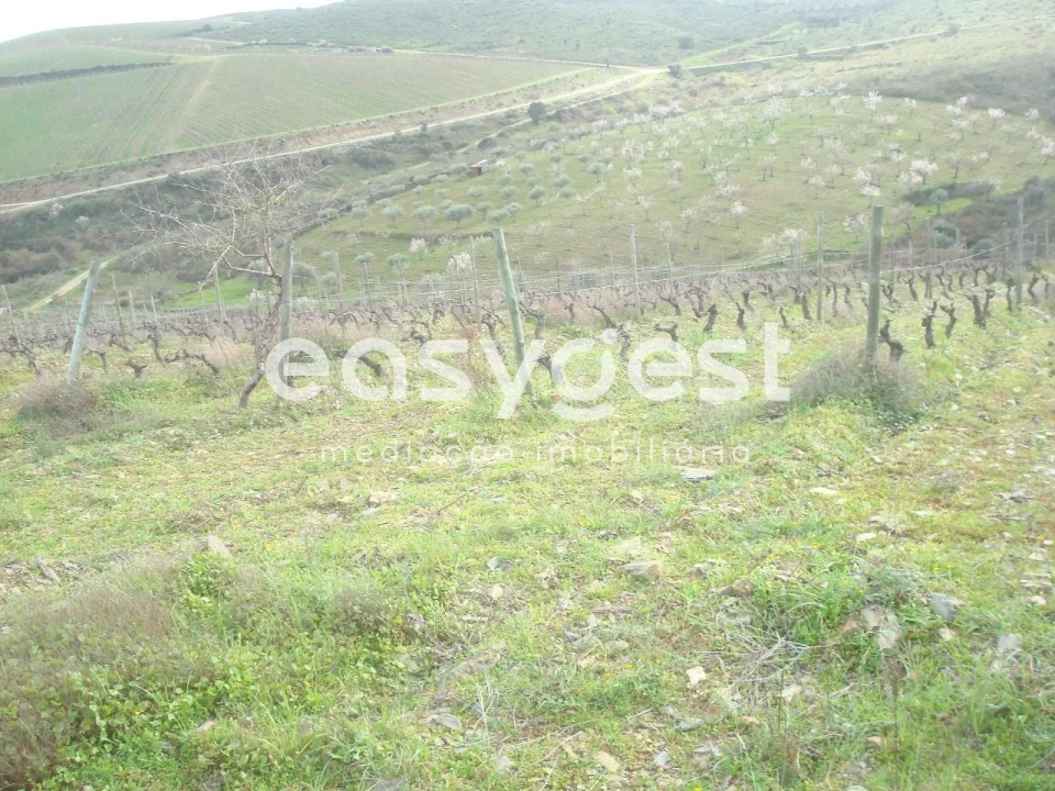 Terreno Agricola ou Rústico para Venda em Castelo Melhor Foto 5