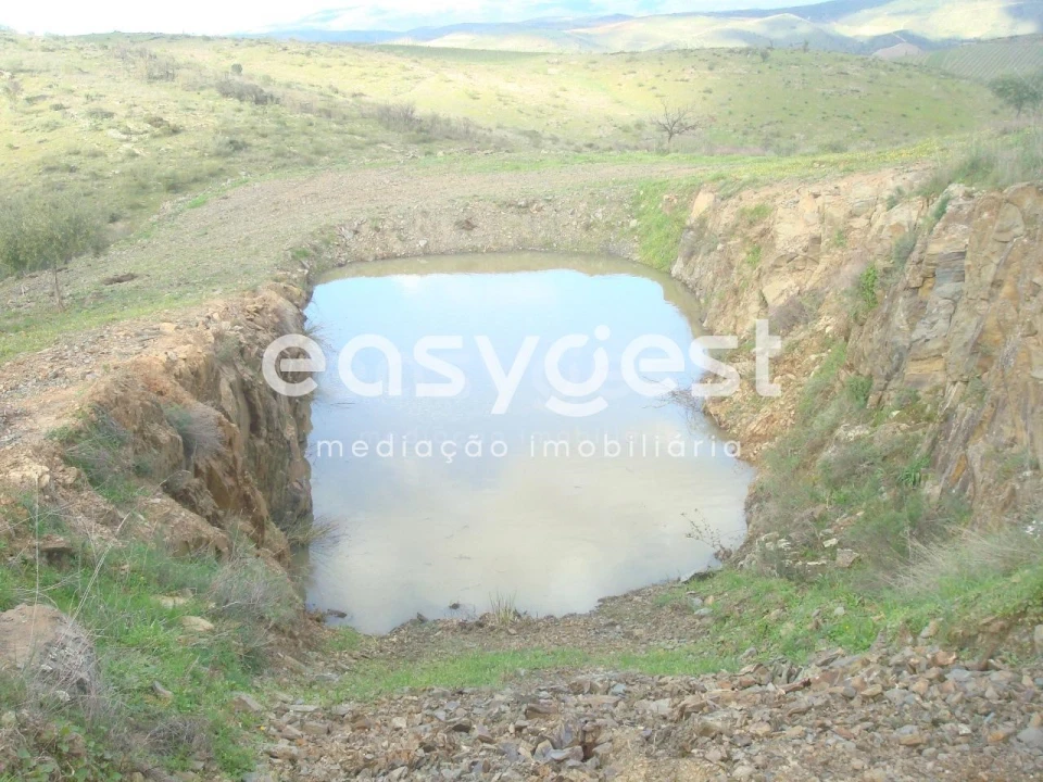 Terreno Agricola ou Rústico para Venda em Castelo Melhor Foto 11