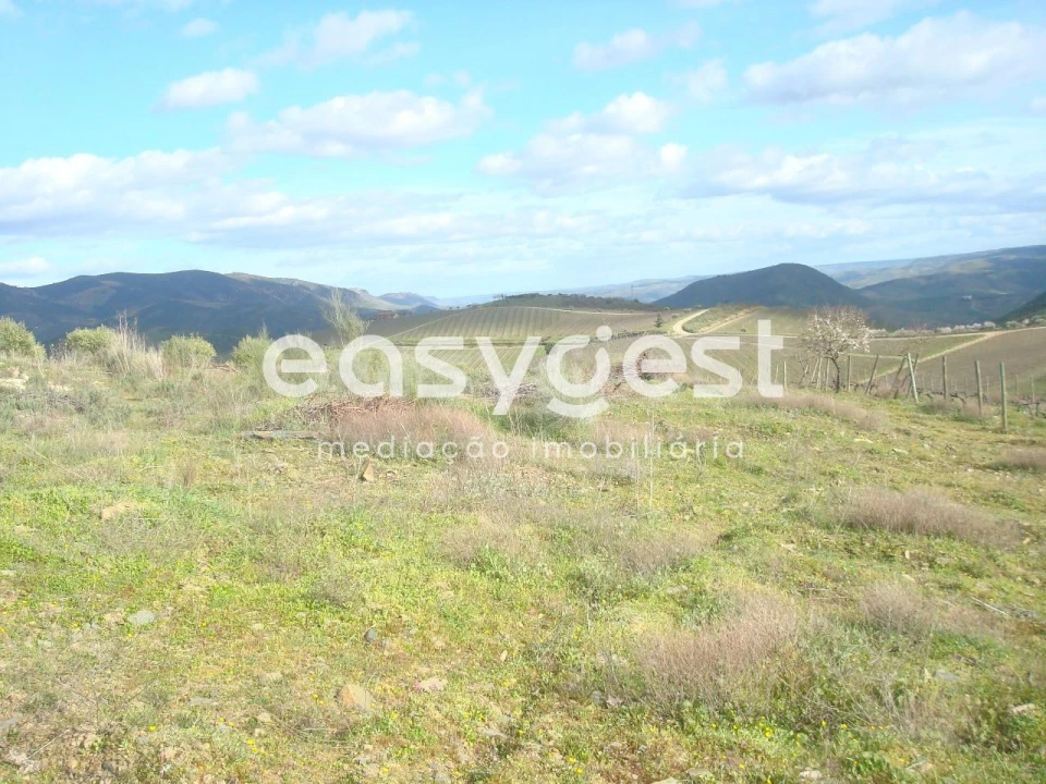 Terreno Agricola ou Rústico para Venda em Castelo Melhor Foto 12