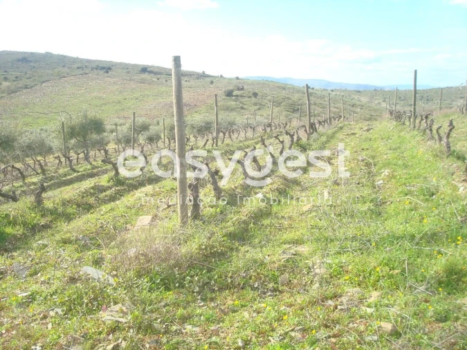 Terreno Agricola ou Rústico para Venda em Castelo Melhor