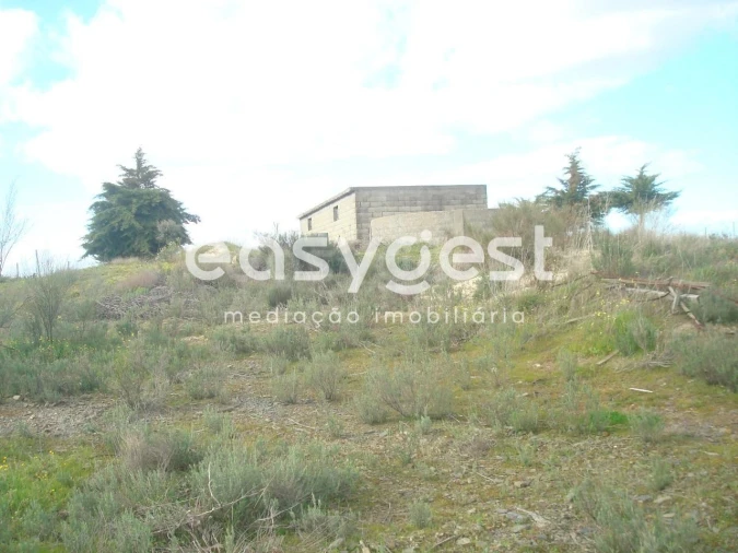 Terreno Agricola ou Rústico para Venda em Castelo Melhor Foto 6