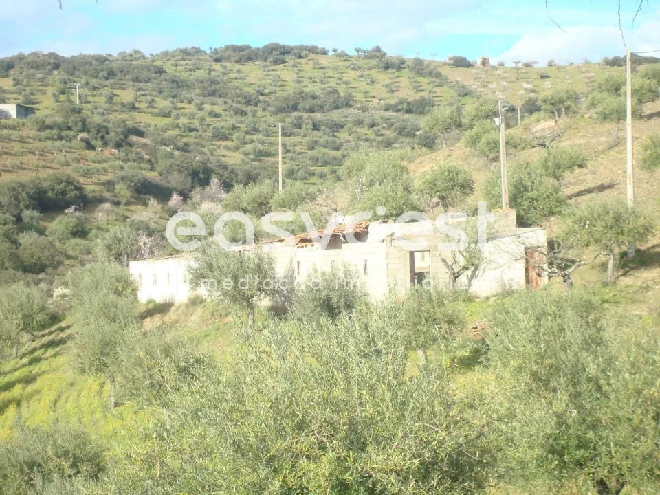 Terreno Agricola ou Rústico para Venda em Castelo Melhor Foto 4