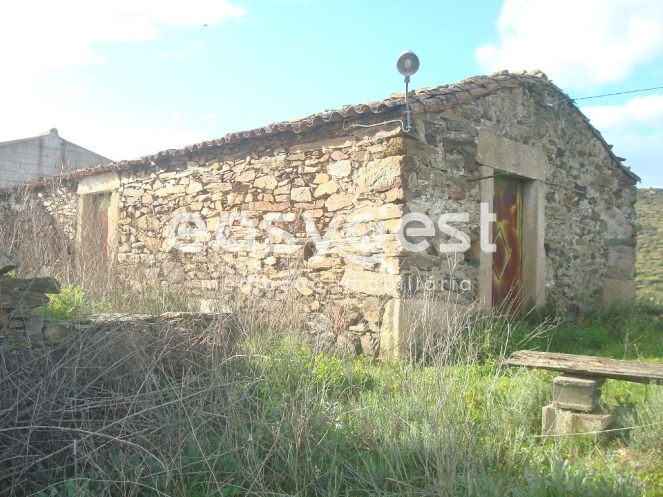 Terreno Agricola ou Rústico para Venda em Castelo Melhor Foto 9
