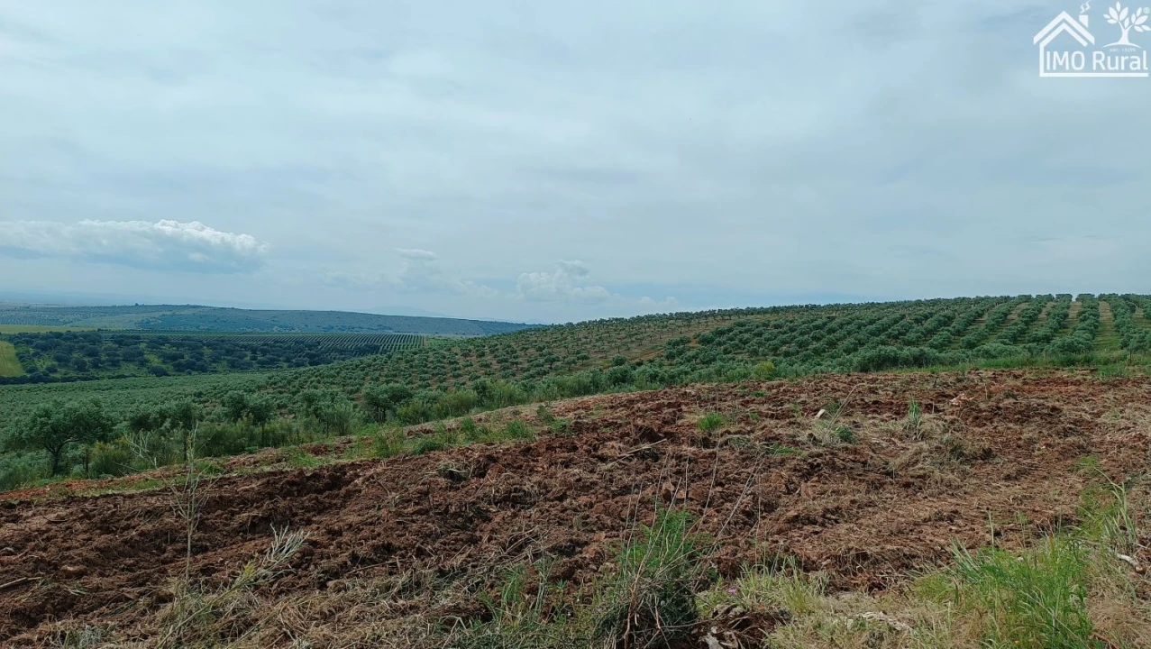 Terreno para Venda em Assunção, Ajuda, Salvador e Santo Ildefonso Foto 43