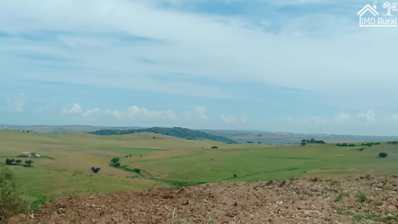 Terreno para Venda em Assunção, Ajuda, Salvador e Santo Ildefonso Foto 44