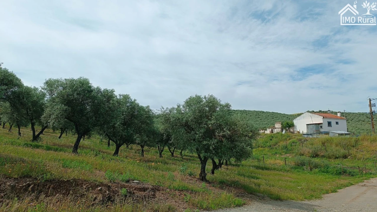 Terreno para Venda em Assunção, Ajuda, Salvador e Santo Ildefonso Foto 31