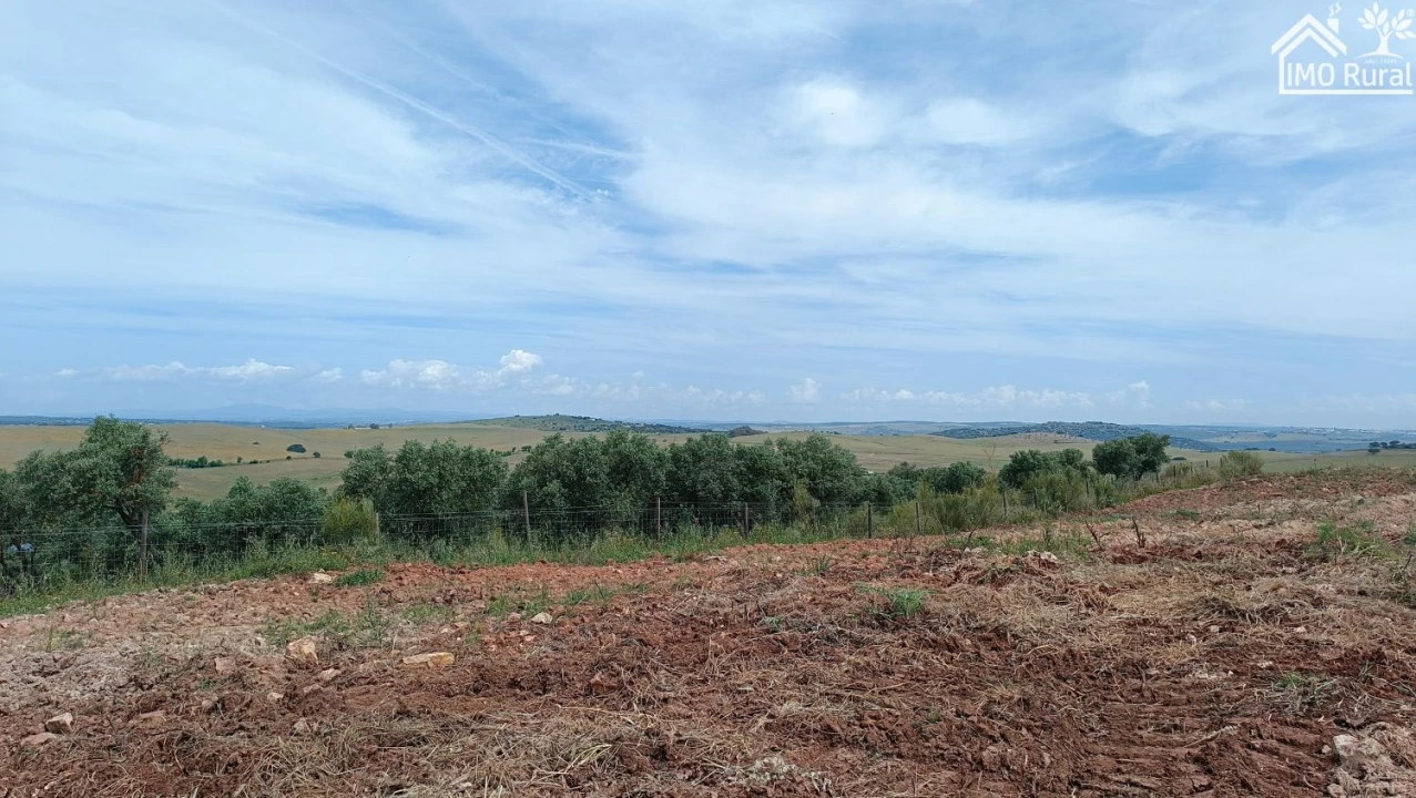 Terreno para Venda em Assunção, Ajuda, Salvador e Santo Ildefonso Foto 41