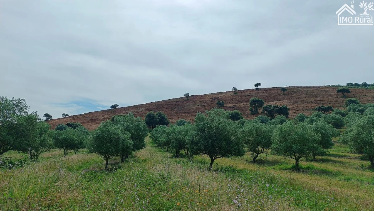 Terreno para Venda em Assunção, Ajuda, Salvador e Santo Ildefonso Foto 32