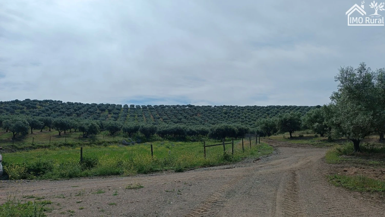 Terreno para Venda em Assunção, Ajuda, Salvador e Santo Ildefonso Foto 28