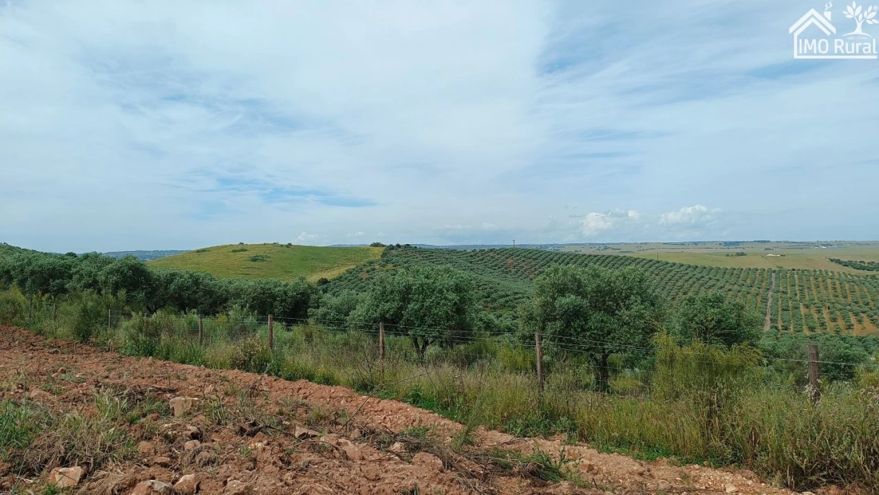 Terreno para Venda em Assunção, Ajuda, Salvador e Santo Ildefonso Foto 46