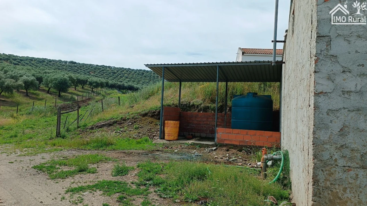 Terreno para Venda em Assunção, Ajuda, Salvador e Santo Ildefonso Foto 12