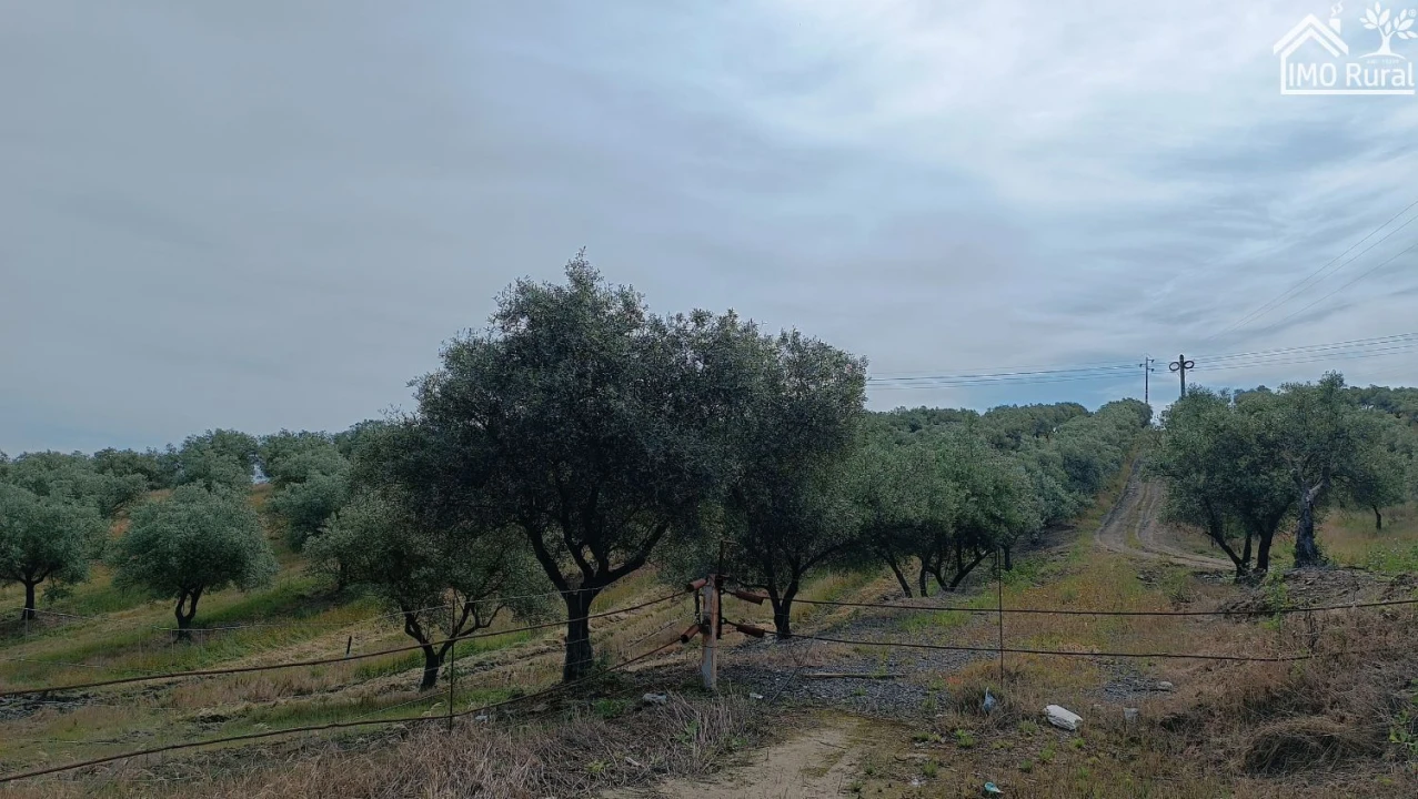 Terreno para Venda em Assunção, Ajuda, Salvador e Santo Ildefonso Foto 3