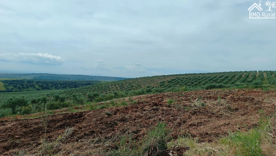 Terreno para Venda em Assunção, Ajuda, Salvador e Santo Ildefonso Foto 43