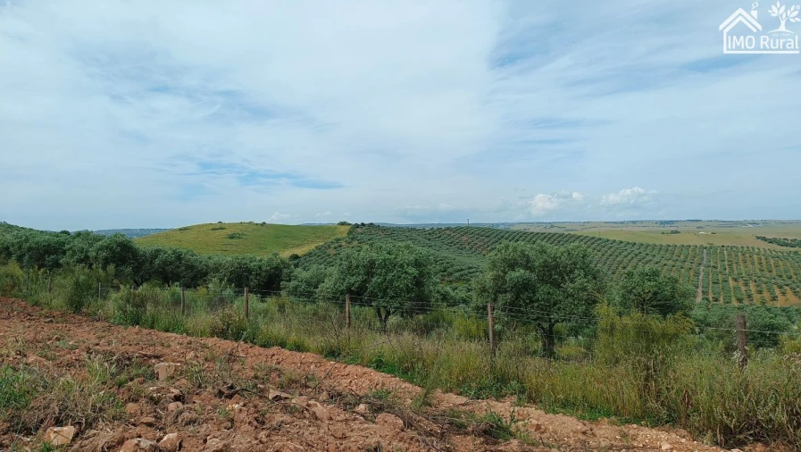 Terreno para Venda em Assunção, Ajuda, Salvador e Santo Ildefonso Foto 46