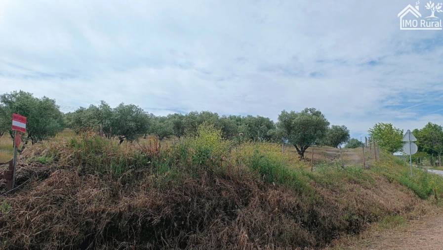 Terreno para Venda em Assunção, Ajuda, Salvador e Santo Ildefonso Foto 5