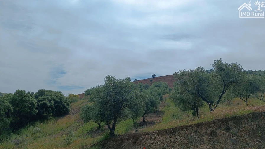 Terreno para Venda em Assunção, Ajuda, Salvador e Santo Ildefonso Foto 30