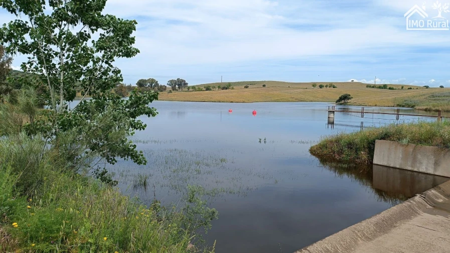 Terreno para Venda em Assunção, Ajuda, Salvador e Santo Ildefonso Foto 10