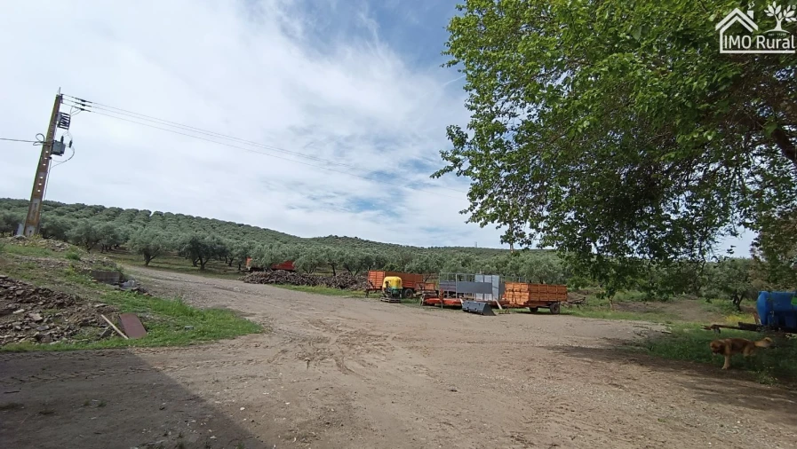 Terreno para Venda em Assunção, Ajuda, Salvador e Santo Ildefonso Foto 27