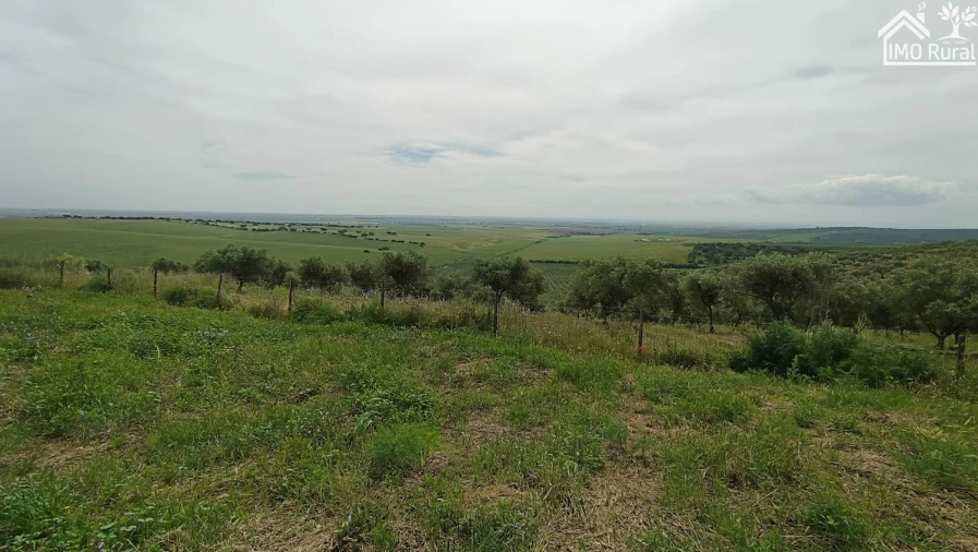 Terreno para Venda em Assunção, Ajuda, Salvador e Santo Ildefonso Foto 36