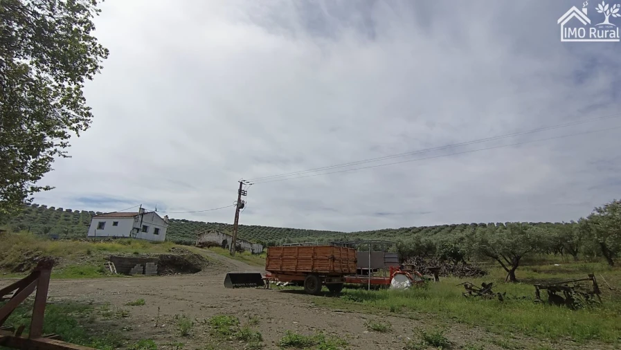 Terreno para Venda em Assunção, Ajuda, Salvador e Santo Ildefonso Foto 19
