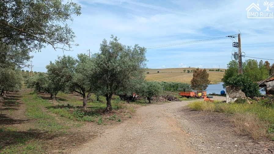 Terreno para Venda em Assunção, Ajuda, Salvador e Santo Ildefonso Foto 8