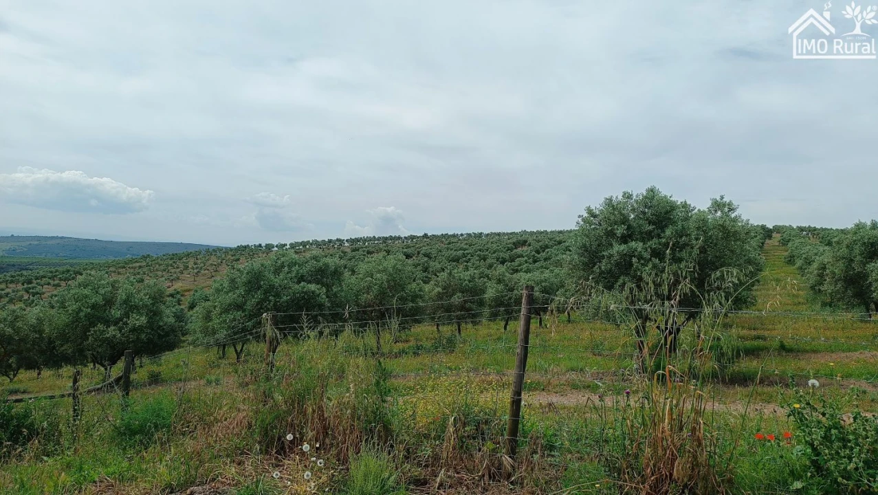 Terreno para Venda em Assunção, Ajuda, Salvador e Santo Ildefonso Foto 37
