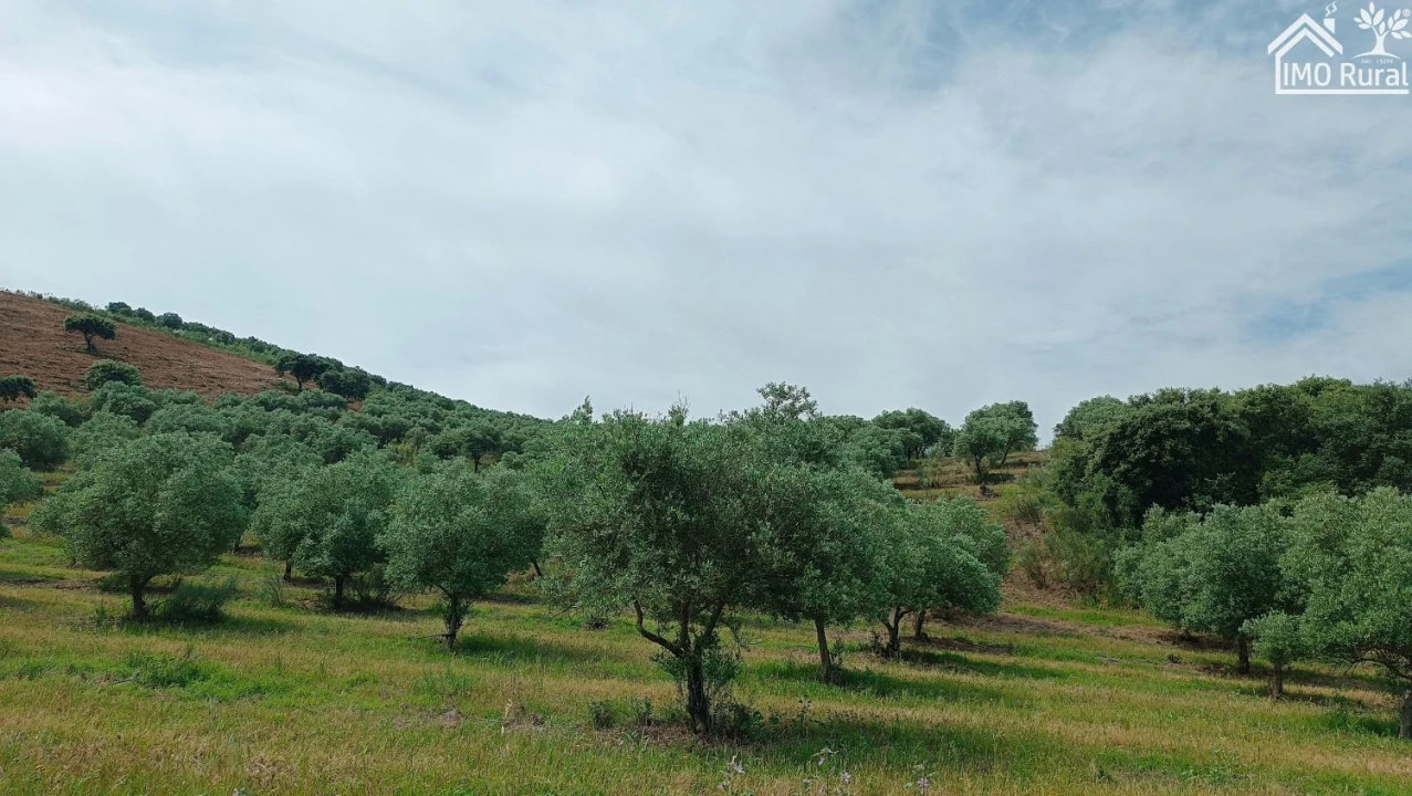 Terreno para Venda em Assunção, Ajuda, Salvador e Santo Ildefonso Foto 33