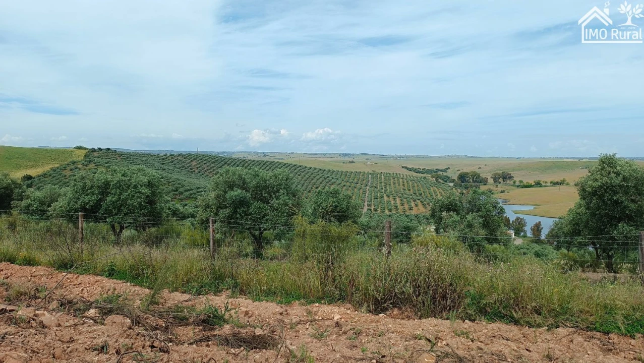 Terreno para Venda em Assunção, Ajuda, Salvador e Santo Ildefonso Foto 45