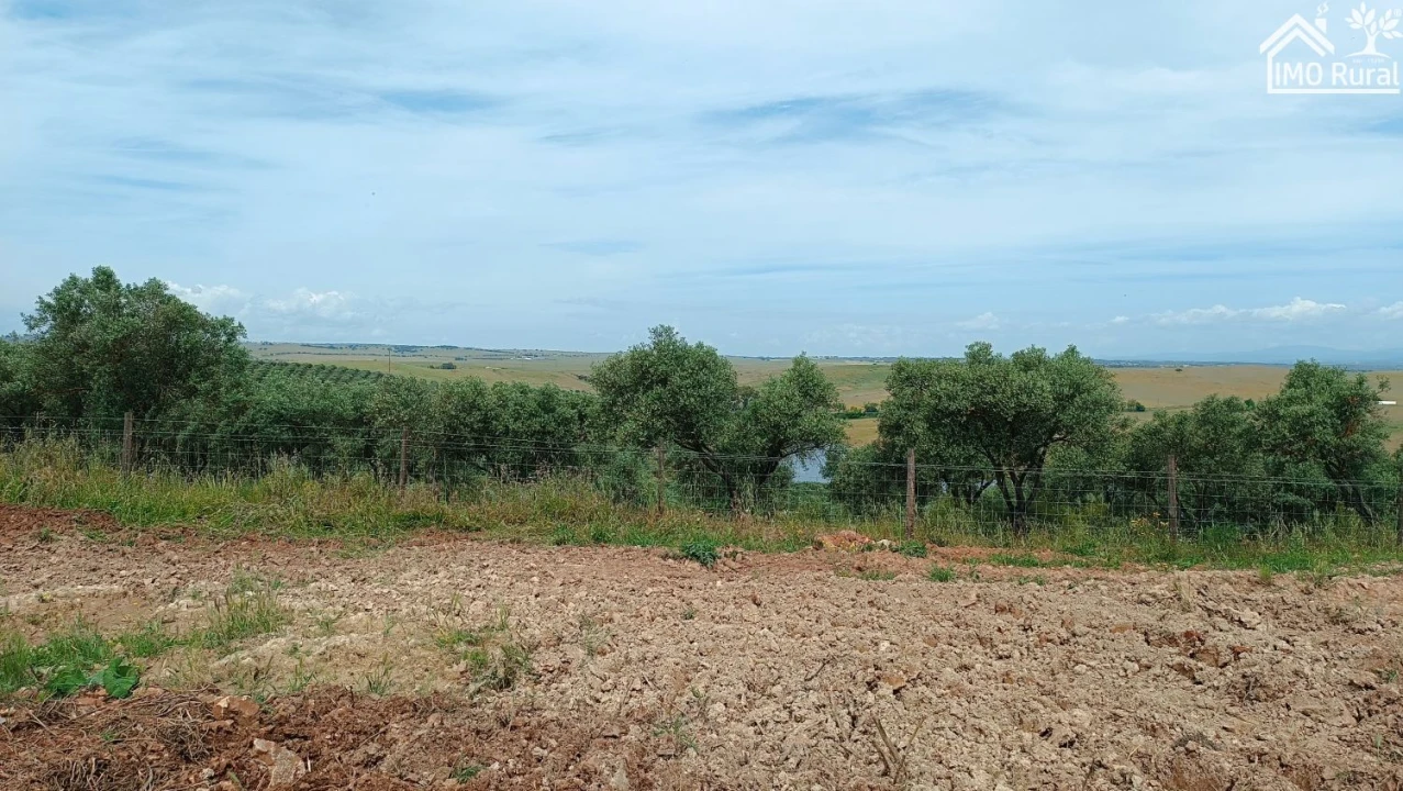 Terreno para Venda em Assunção, Ajuda, Salvador e Santo Ildefonso Foto 40