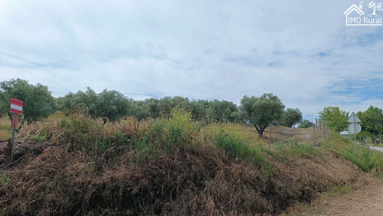 Terreno para Venda em Assunção, Ajuda, Salvador e Santo Ildefonso Foto 5