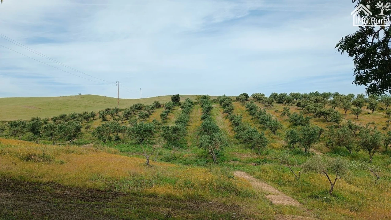 Terreno para Venda em Assunção, Ajuda, Salvador e Santo Ildefonso Foto 1
