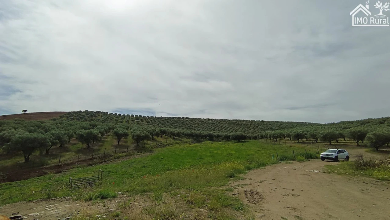 Terreno para Venda em Assunção, Ajuda, Salvador e Santo Ildefonso Foto 25