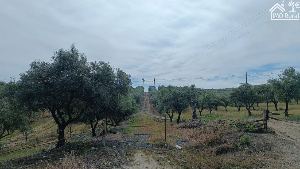 Terreno para Venda em Assunção, Ajuda, Salvador e Santo Ildefonso Foto 6