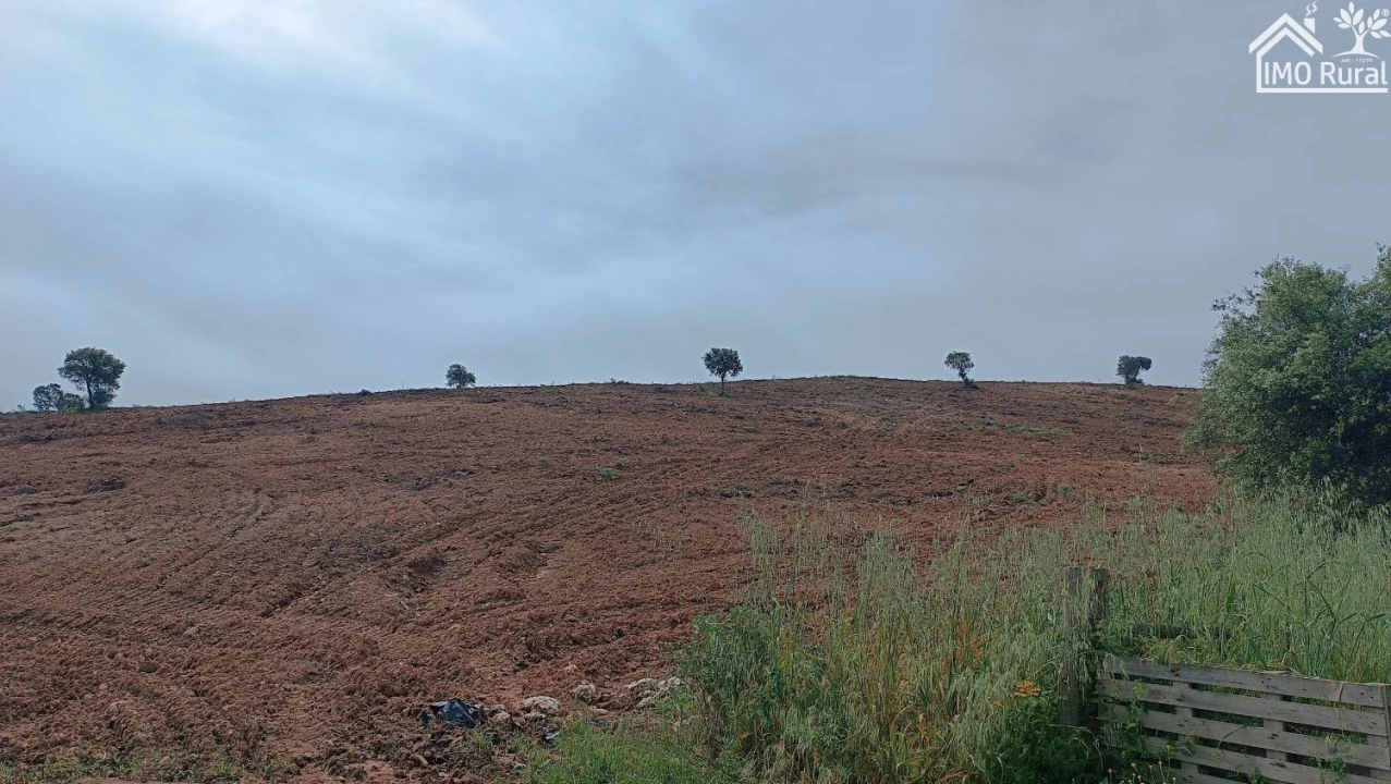 Terreno para Venda em Assunção, Ajuda, Salvador e Santo Ildefonso Foto 38