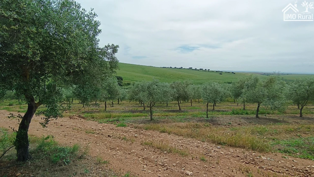 Terreno para Venda em Assunção, Ajuda, Salvador e Santo Ildefonso Foto 35