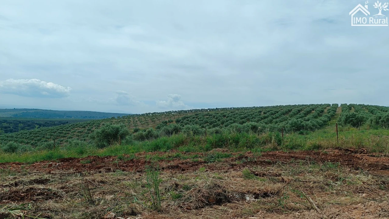Terreno para Venda em Assunção, Ajuda, Salvador e Santo Ildefonso Foto 42