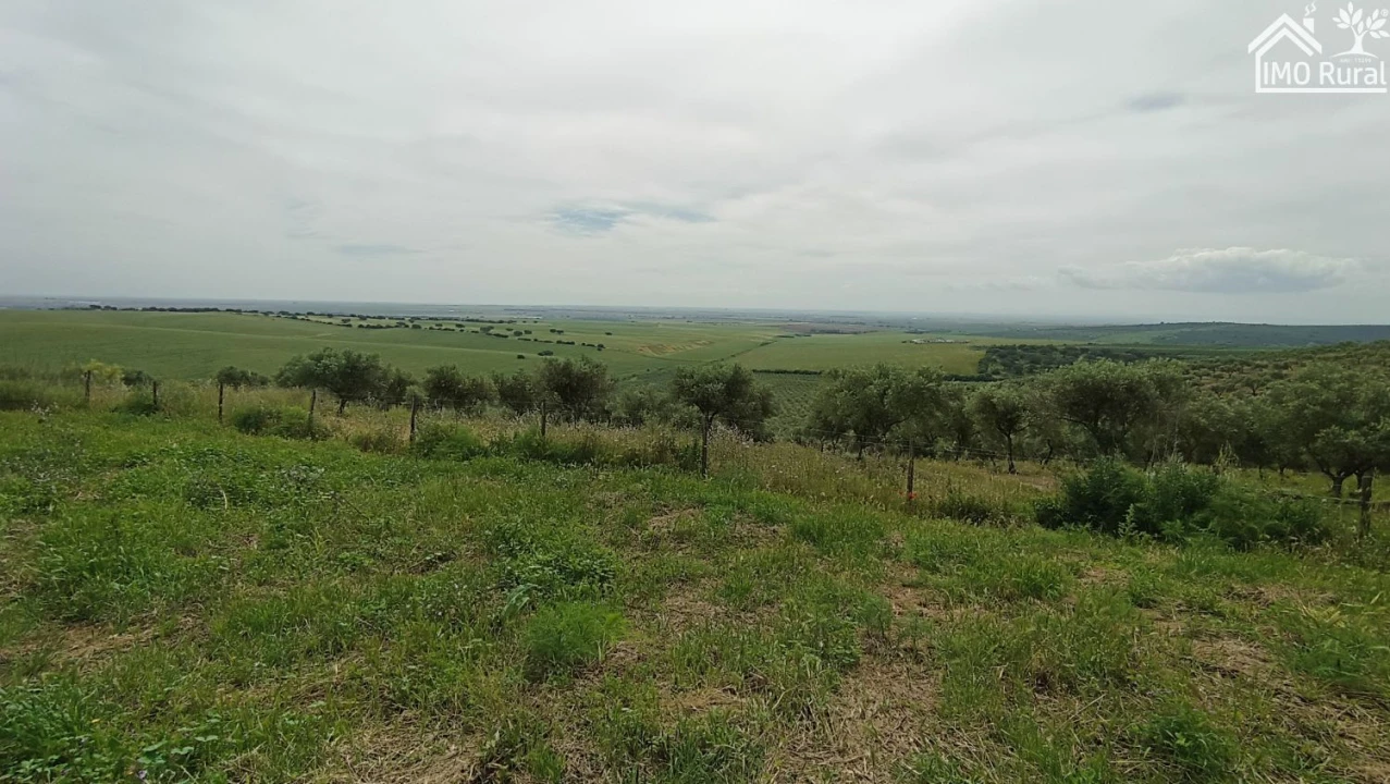 Terreno para Venda em Assunção, Ajuda, Salvador e Santo Ildefonso Foto 36