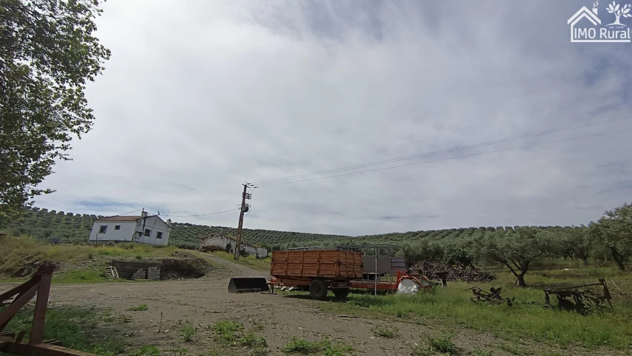 Terreno para Venda em Assunção, Ajuda, Salvador e Santo Ildefonso Foto 19